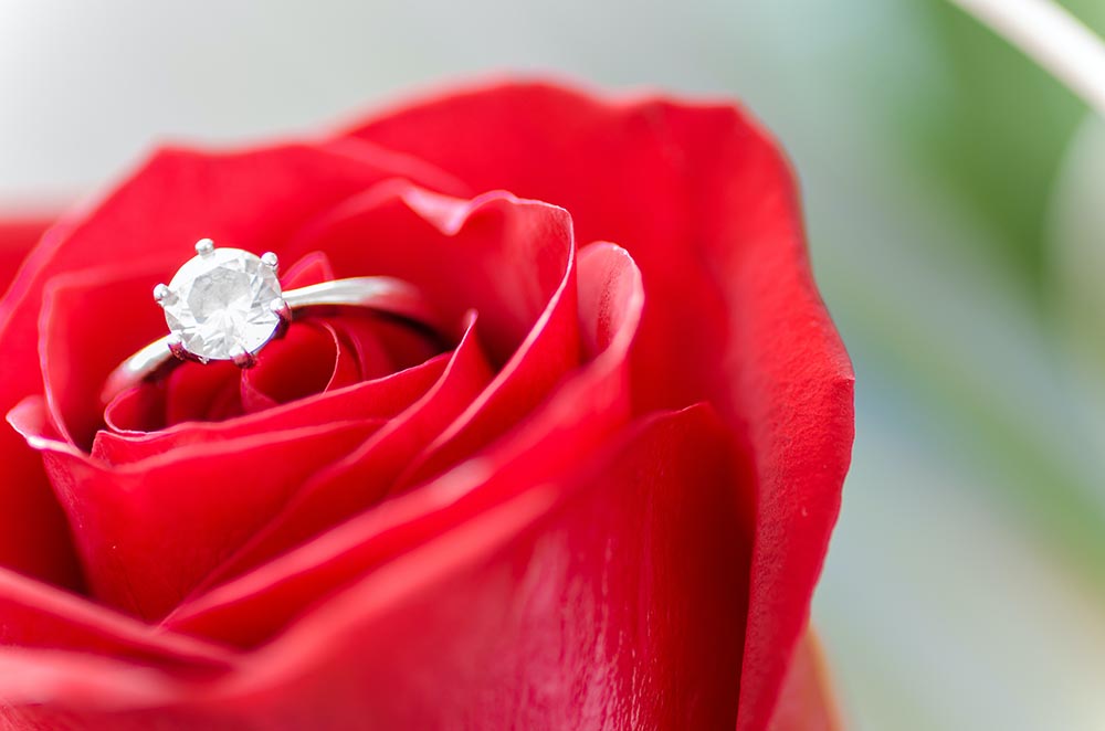 Rote Rose mit Ehering oder Verlobungsring zum Valentinstag